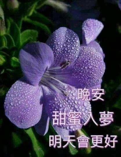 各位晚安健康快樂平安...
