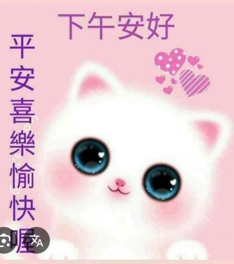 平安
                 美好！...