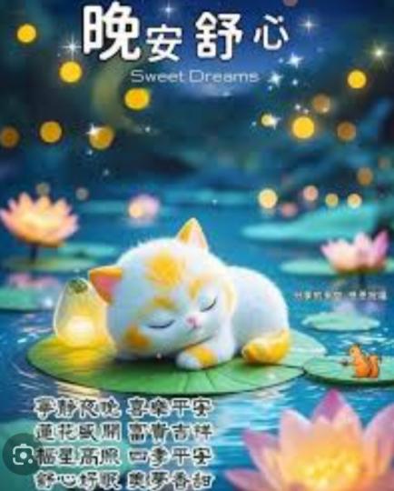 晚安
                    舒心！...