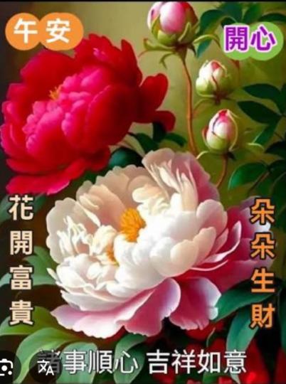 花開富貴
             朵朵開心！...