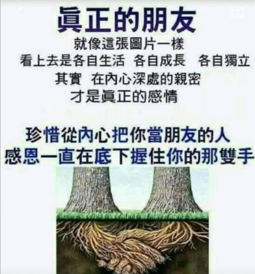 真正的朋友，是從內心互相關心及，互相體諒，才是真正的好朋友！...