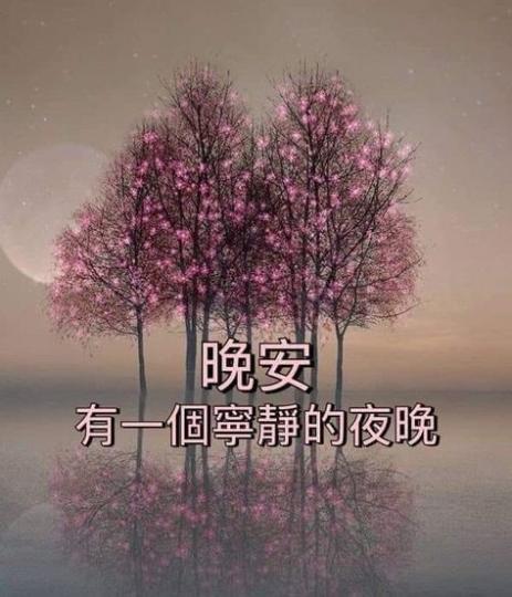 老友記晚安,享受寧靜舒
適的夜晚。...