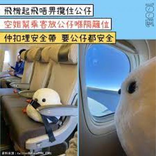 起飛時候攬住咗隻公仔，空姐經過見到，就將隻毛公仔放咗喺另一個座位上面，仲幫佢扣上安全帶添...