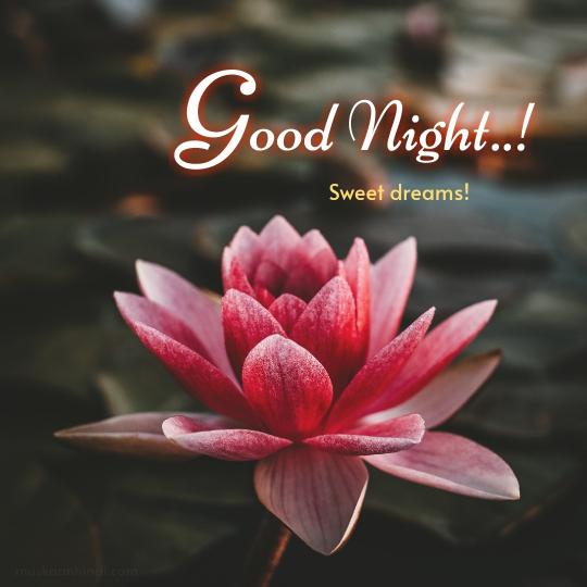睡眠充足
精神好！
朋友晚安！...