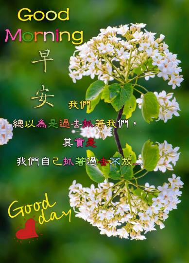 各位朋友早安，
時光如水，
如果安好，
便覺甜美！...
