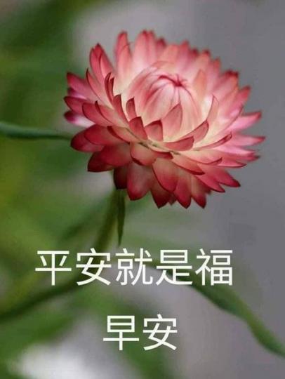 老友記早晨,平安是福。...