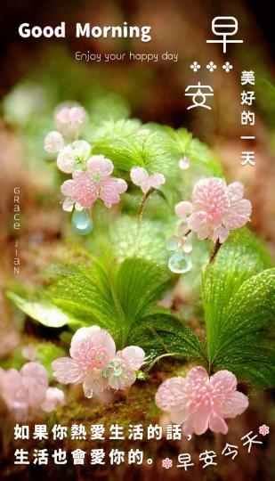 美好生活
新一天！
朋友早！...