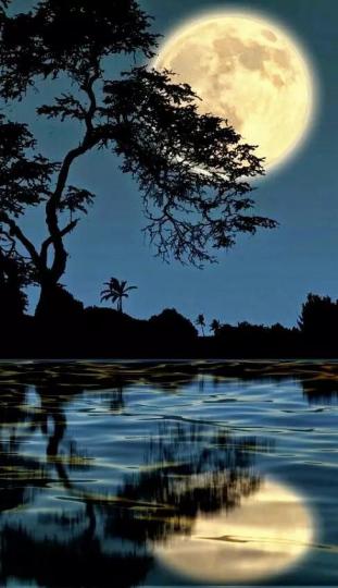 享受寧靜舒適的夜晚，
老友記晚安！...