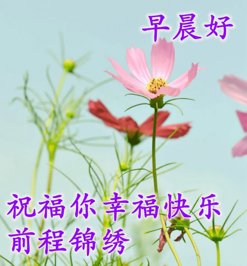 老友記早晨,祝幸福快樂...