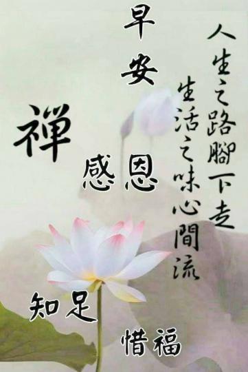 早安
人生的路，
心中的路：
各有領悟！...