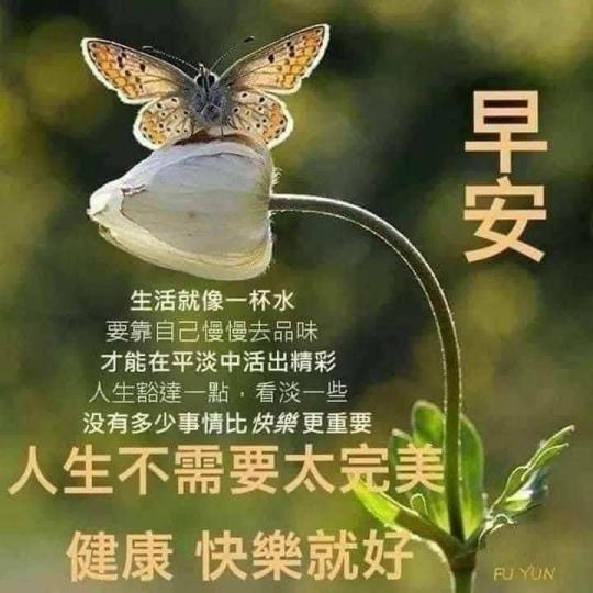 早安朋友,
祝願身體
健康,心
情好！...