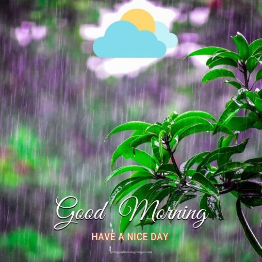 尋覓雨天
樂趣,
朋友早！...