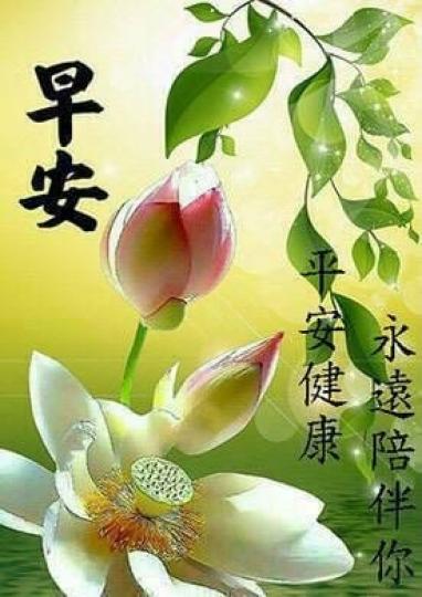平安健康
伴左右，
朋友好！...