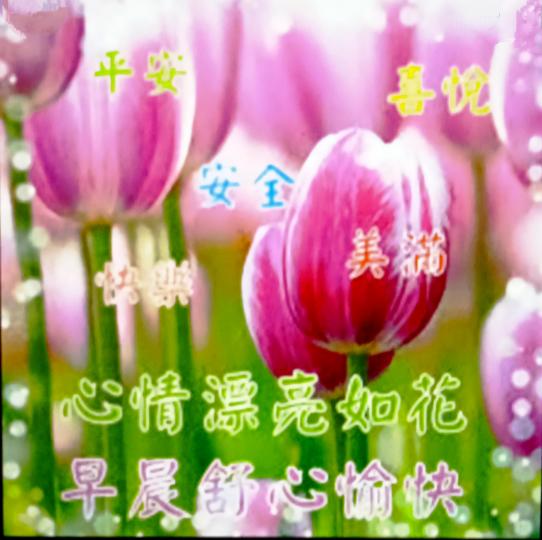 IMG_20210510_050915