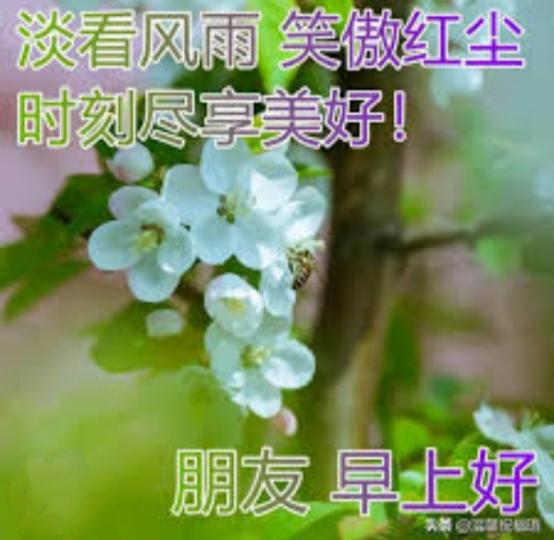IMG_20230823_173929