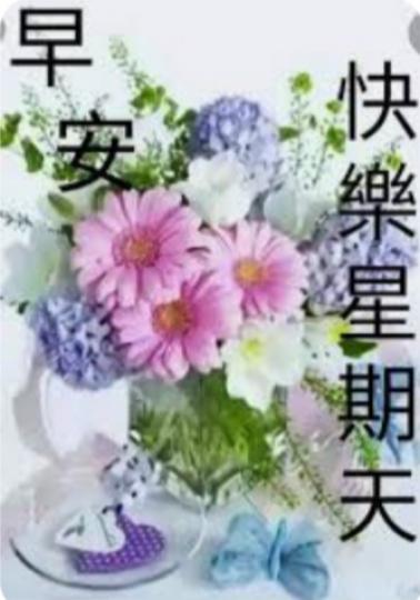 IMG_20241109_170403