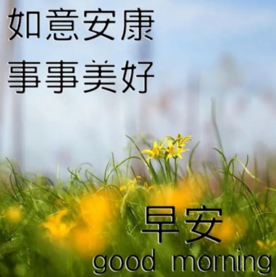 IMG_20241130_174238