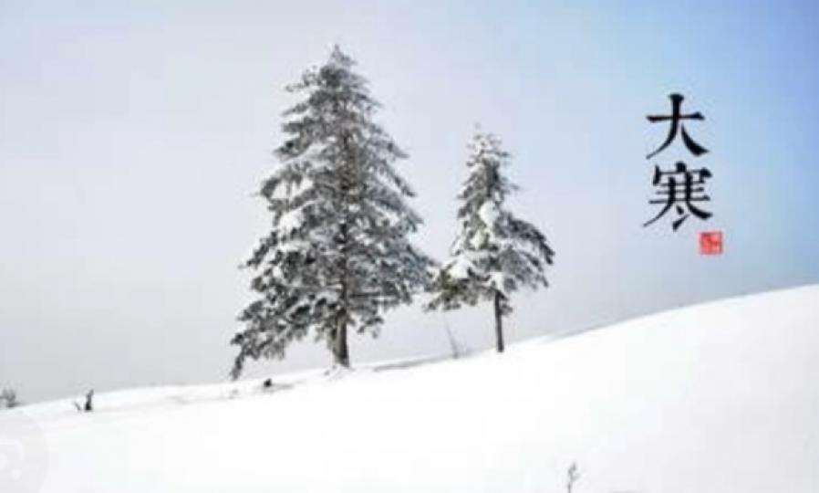 IMG_20250120_045242_0