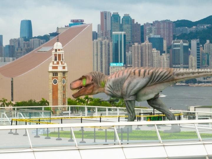 HK_Harbour_City_Times_Square_Flash_Pop_up_Robotic_Dinos