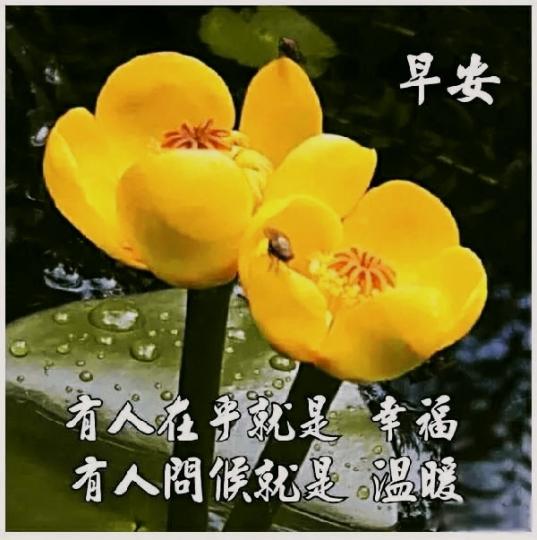 IMG_20210321_165716