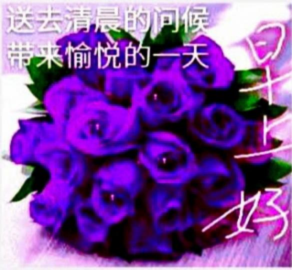 IMG_20210416_184524