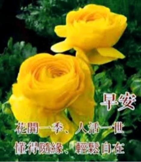 IMG_20210805_162809