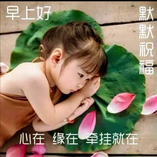 mmexport1607911772702