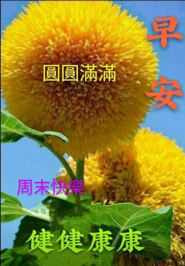 mmexport1636164254531