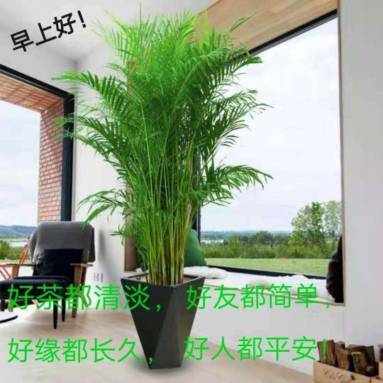 mmexport1657707975640