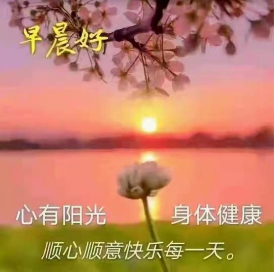 mmexport1662195676170
