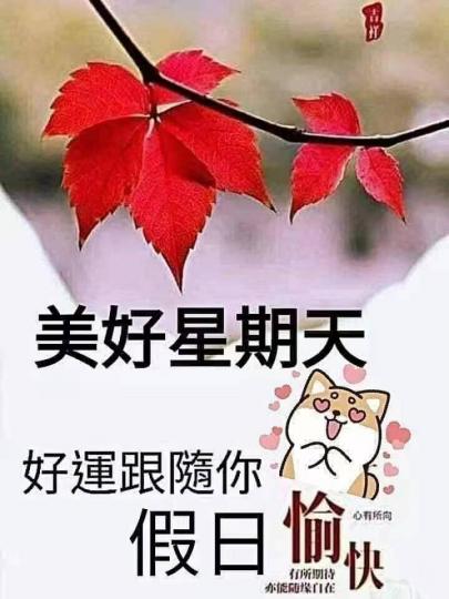 mmexport1663411387527_0