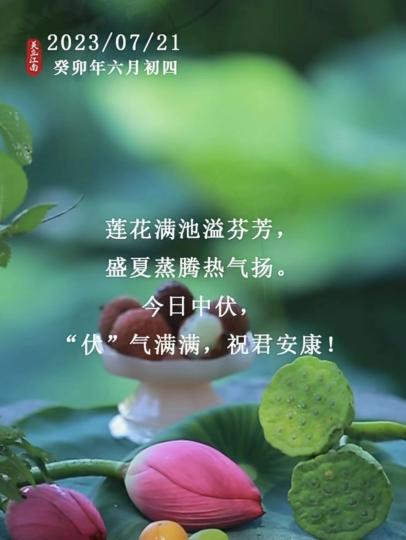 mmexport1689899313095_0