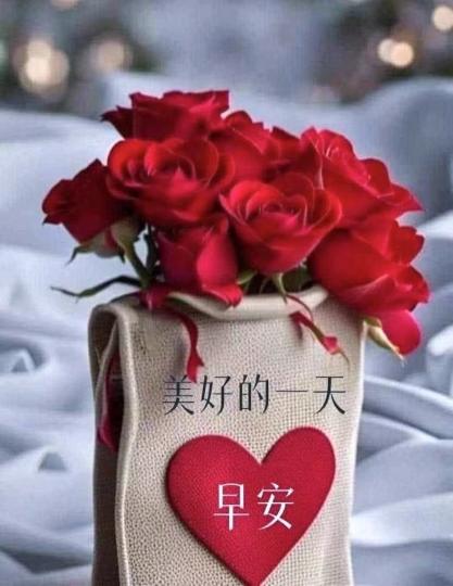 mmexport1718751928692_0