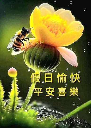 mmexport1740818257800