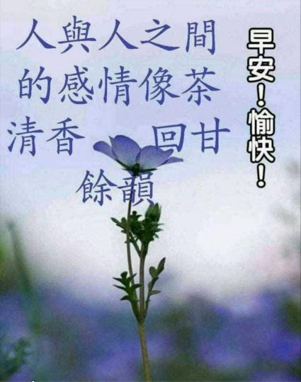 IMG-20200624-WA0001