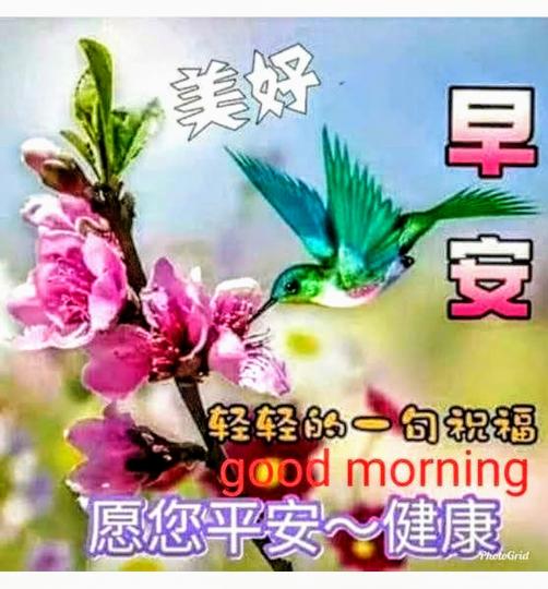 IMG-20200728-WA0000