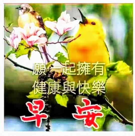IMG-20201018-WA0002