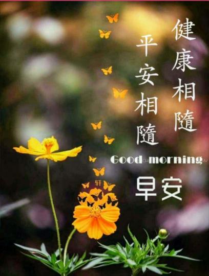 IMG-20201111-WA0005