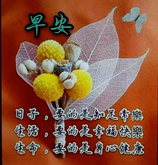 IMG-20201116-WA0002