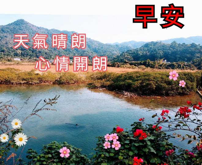 IMG-20210205-WA0001