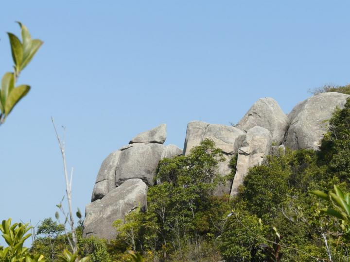 IMG-20210207-WA0012