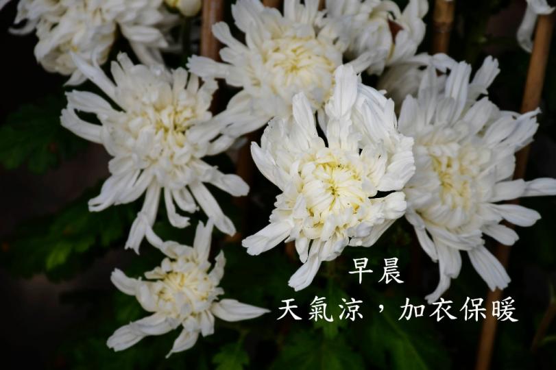 IMG-20211220-WA0000