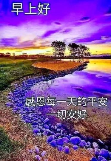 IMG-20220404-WA0004