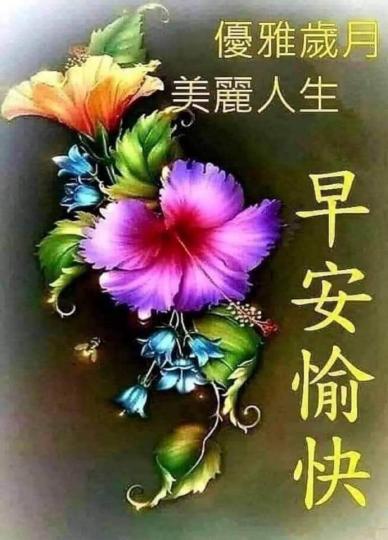 IMG-20220504-WA0001