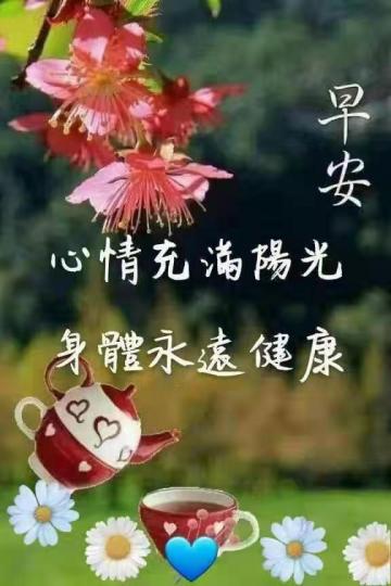 IMG-20220629-WA0000