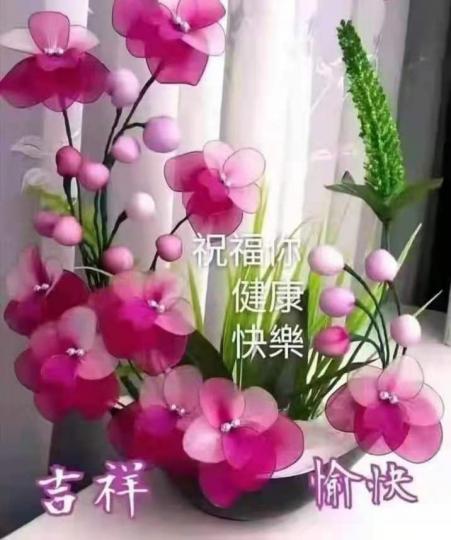 IMG-20220814-WA0002