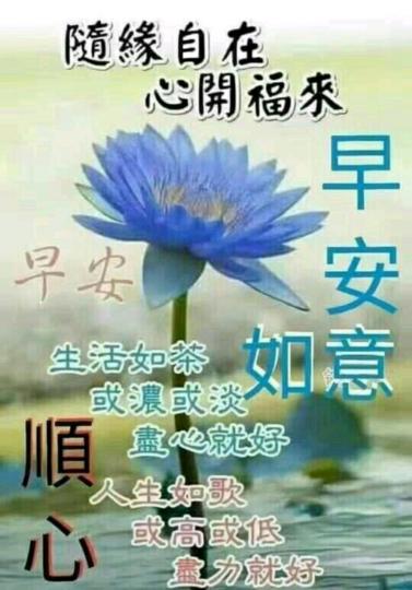 IMG-20220819-WA0001