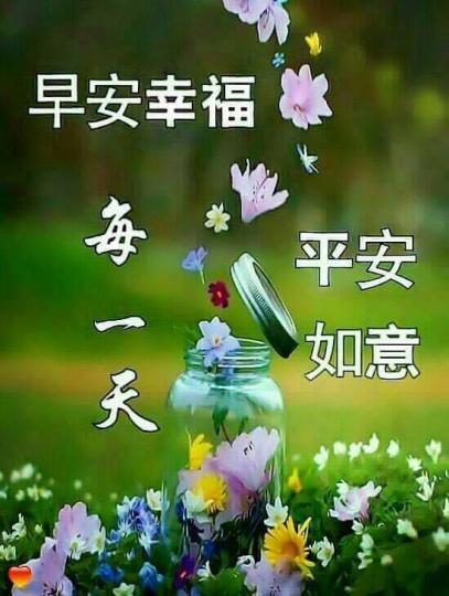 IMG-20220819-WA0003