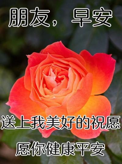 IMG-20221121-WA0001