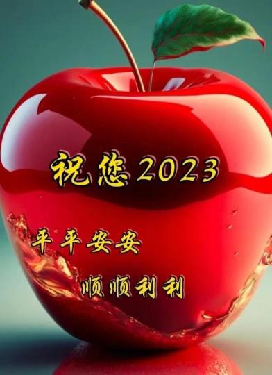IMG-20230101-WA0002